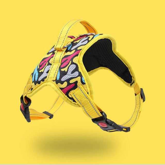 Y